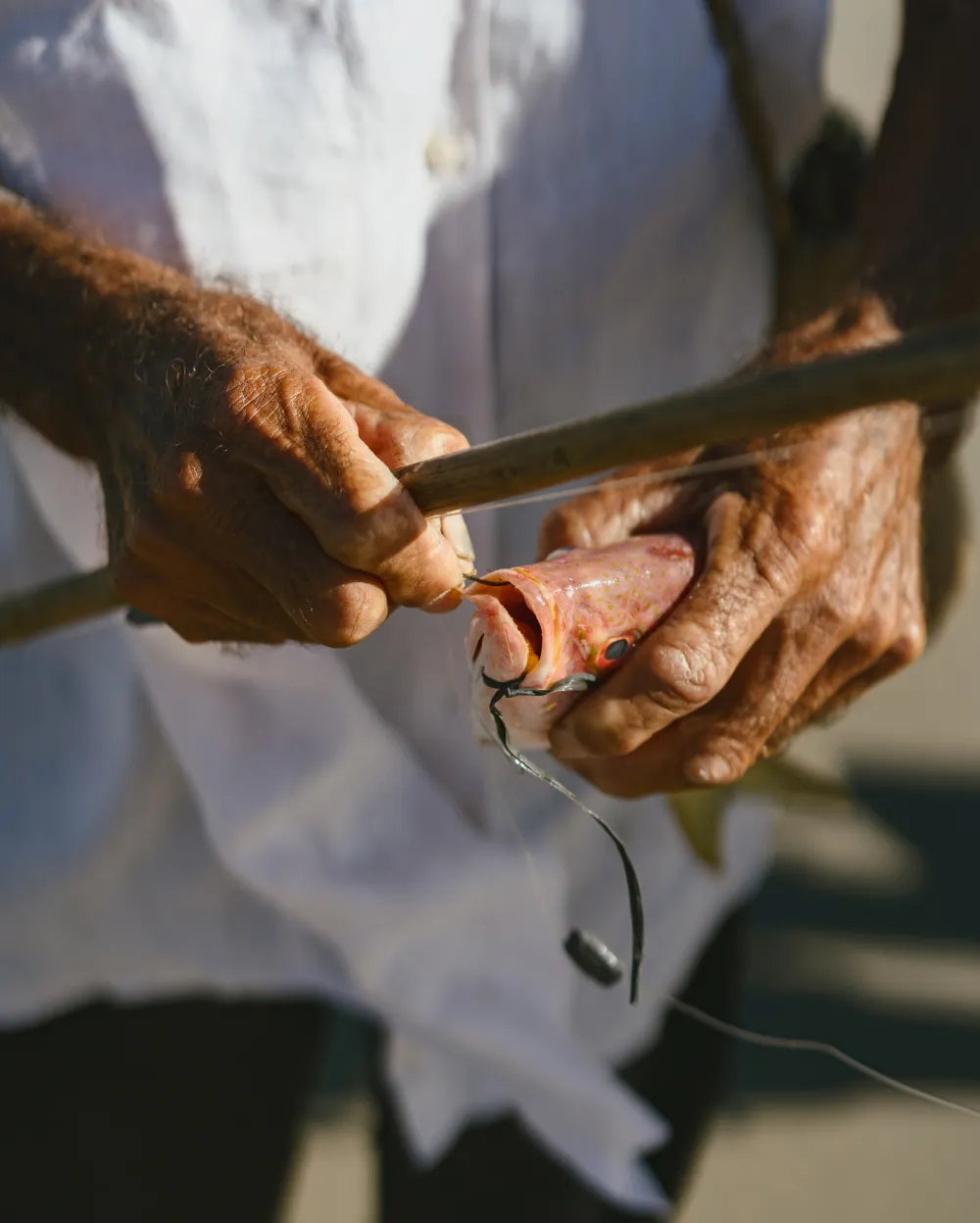 Pescadores de Icaraí